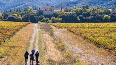 Arriba el II Festival Senderista de la Costa Daurada-Terres de l'Ebre  per donar a conèixer les Muntanyes de Prades