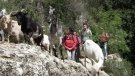 Més activitat al diumenge 23 del Festival Senderista de la Costa Daurada-Terres de l'Ebre