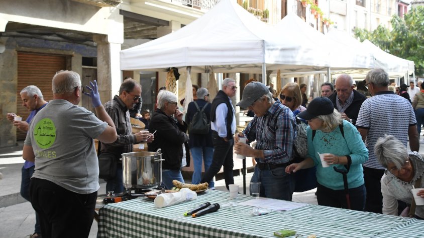 Santa Coloma de Queralt dedica una jornada a l'ús i cultiu del Safrà