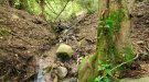 El Paratge Natural d'Interès Nacional de Poblet va rebre 135.000 visites durant l'any 2023