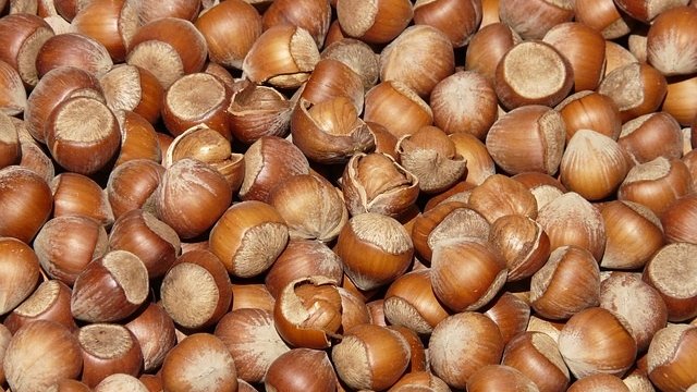 L’Associació d’Amics de les Muntanyes de Prades celebra aquest diumenge dia 6 de novembre la Festa de l’avellana