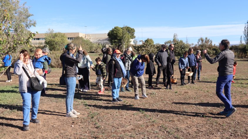 L'espai Aromis ensenya els secrets per fer bé "La collita de Safrà" i l'esbrinament de les flors amb un taller