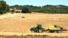 El Departament abonarà 2,3 M€ d'ajuts a 760 beneficiaris agraris de la Conca de Barberà