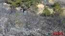 Extingit un incendi de vegetació a Solivella