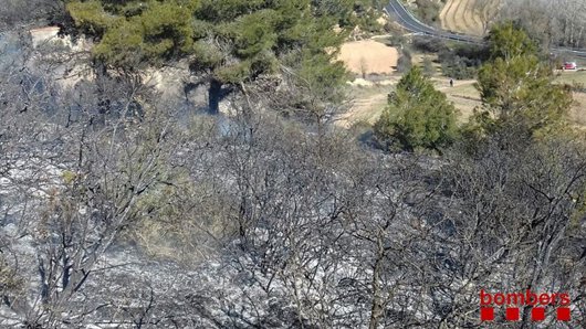 Extingit un incendi de vegetació a Solivella