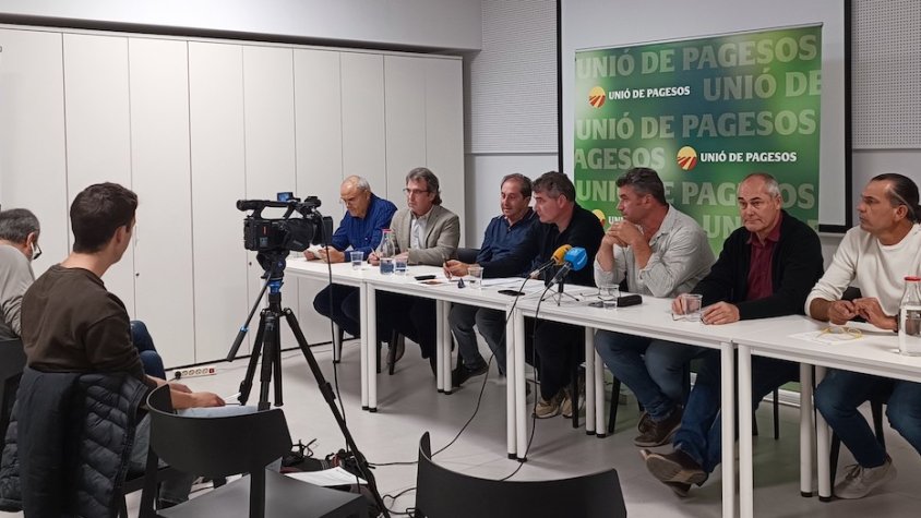 Unió de Pagesos i organitzacions apícoles catalanes han convocat una roda de premsa per parlar de les afectacions en la producció apícola de les vespes asiàtiques