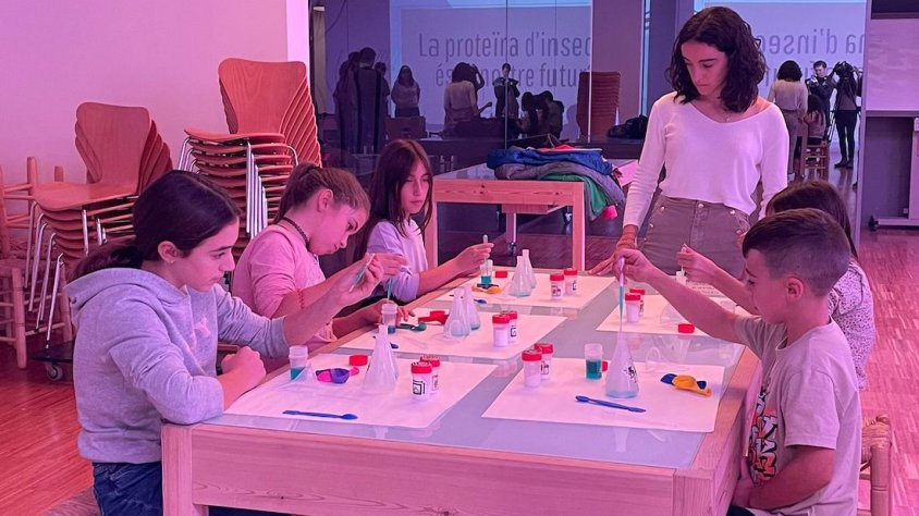  A la setmana de la ciència es fa un taller sobre insectes a l'Espluga