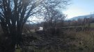 Incendi de canyes i matolls en direcció a Prenafeta
