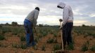 L'atur es frena a Tarragona al mes de desembre amb una reducció del 0,87%