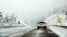 Alerta per vent fort arreu de Catalunya i una nevada que pot baixar als 600 metres al Pirineu