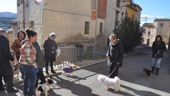 La benedicció dels animals de la festa major d'hivern del 2015