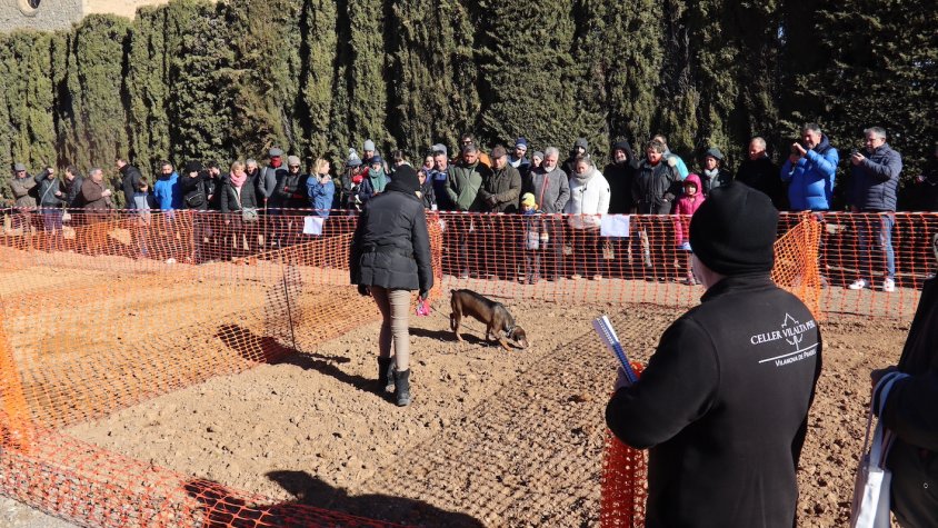 Centenars de persones visiten la VI Fira de la Tòfona a Vilanova de Prades