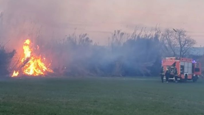 Cremen unes canyes prop de l'N-240