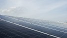 2022 és l'any de l'autoproducció d'energia fotovoltaica