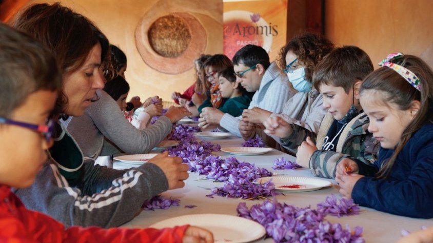 Noves propostes d'abril a desembre de #Safrània365 pel 2023