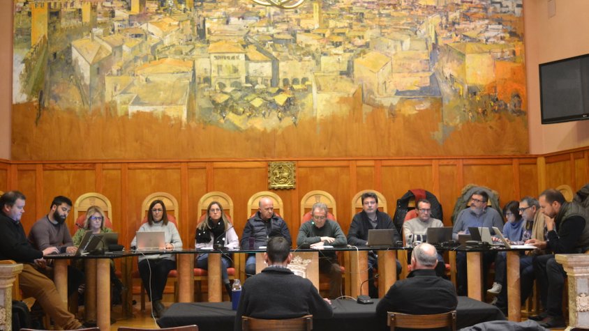 Plenari a favor del control de les colònies felines i del dia de la Dona