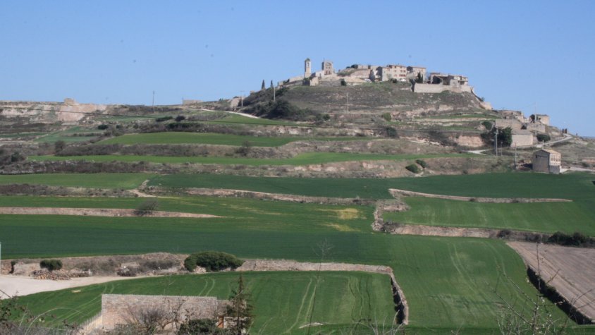 El Consell Comarcal de la Conca de Barberà aprova el projecte d’abastament d’aigua a la comarca