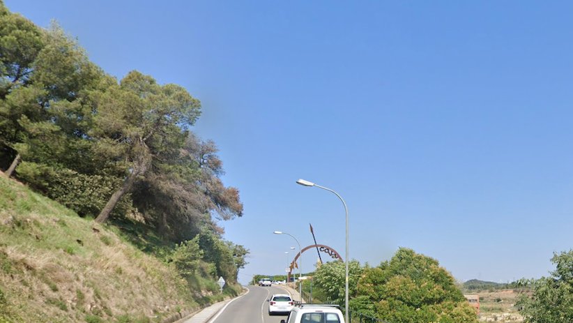 Els bombers retiren un arbre caigut a l'avinguda Catalunya de l'Espluga de Francolí