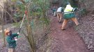 El servei de jardineria d'APRODISCA realitza millores de conservació entorn de la Vall de Montblanc