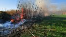 Incendi a Montblanc: crema prop d'una hectàrea una zona de canyes