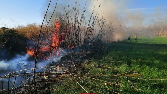 Incendi a Montblanc: crema prop d'una hectàrea una zona de canyes