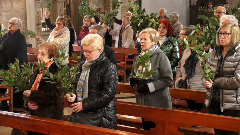 Benedicció de les Palmes, Palmons i Llorer al Santuari de la Serra