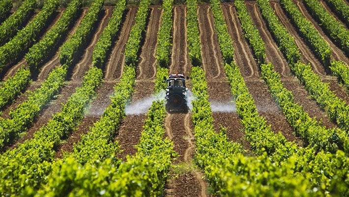 FEGA (El Fons Espanyol de Garantia Agrària) ha ingressat avui els ajuts a projectes agrícoles per l'encariment dels fertilitzants.