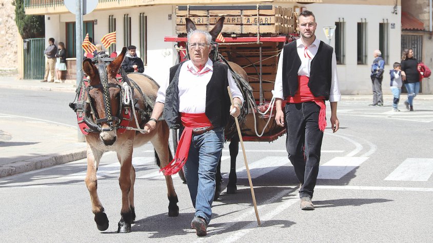 Imatge dels Tres Tombs celebrats aquest passat cap de setmana