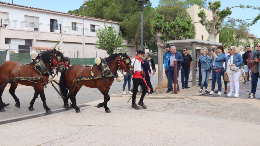 Vilaverd tanca la temporada dels Tres Tombs amb una jornada plena de cavalleries i carros