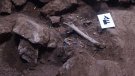 Descobreixen un enterrament col·lectiu de fa sobre 3.000 anys a Vimbodí i Poblet
