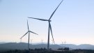 Projecten dos parcs solars fotovoltaics a la Conca de Barberà i l'Urgell