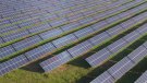 A Informació pública una planta solar a Vimbodí i Poblet 