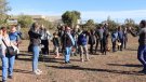 Nova proposta de la programació de #Safrània365 de cuinar amb plantes de marge