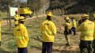 Ajuts de la Diputació per les ADFs en la prevenció d’incendis