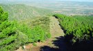 El PNIN Poblet organitza una activitat  familiar titulada ‘Orienta’t dins el Paratge’