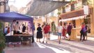 Multitud de persones i propostes omplen els carrers en la 13a Festa del Trepat