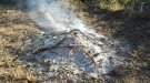 A partir d'aquest 15 de març, comença la prohibició de fer foc al bosc