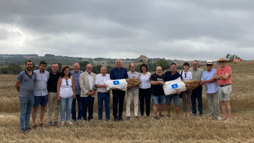 Sega del Blat de Mestral 2023 a Santa Coloma de Queralt. Foto: @startap.cat