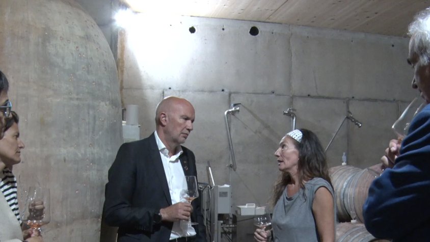 El conseller d'Acció Climàtica, David Mascort, amb altres conselleres i el delegat de govern, Àngel Xifré, en una visita a produccions vinícoles del Priorat per valorar els efectes de la sequera