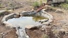 Dues noves actuacions de Basses amigues al Paratge Natural de Poblet
