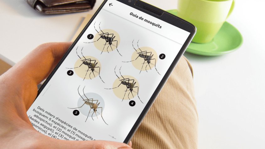 Detecten la presència de mosquit tigre a Llorac