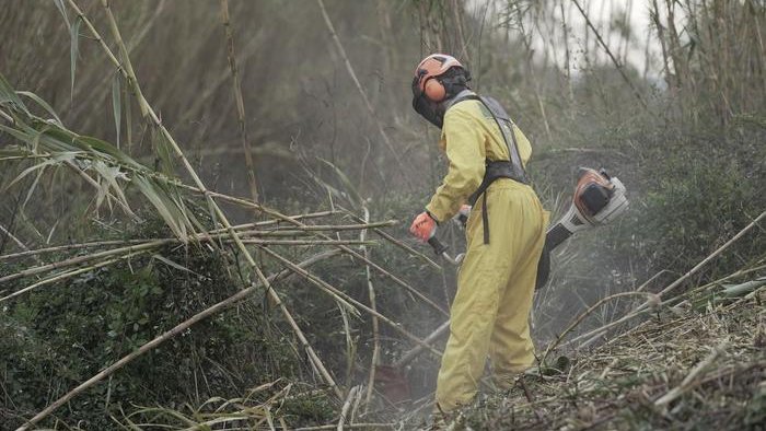 La Conca de Barberà rep més de 37.000 euros per actuacions de manteniment i conservacions de lleres en zona urbana