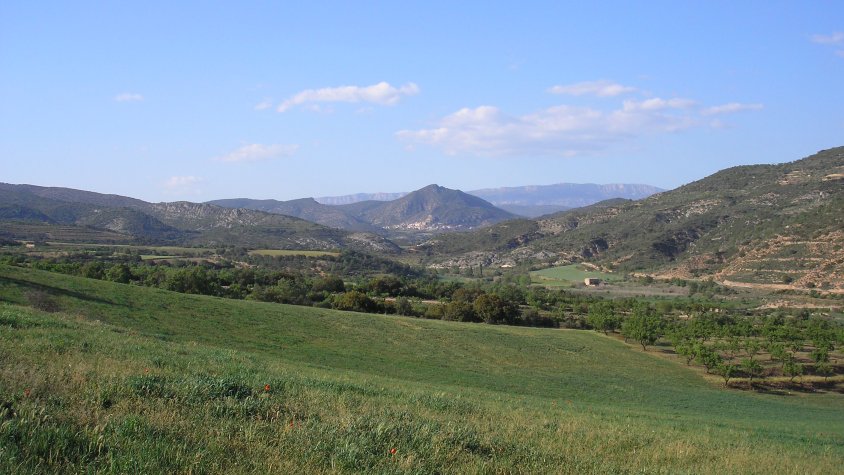 Aspres del Montsec
