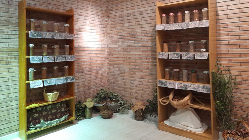 Imatge de la mostra