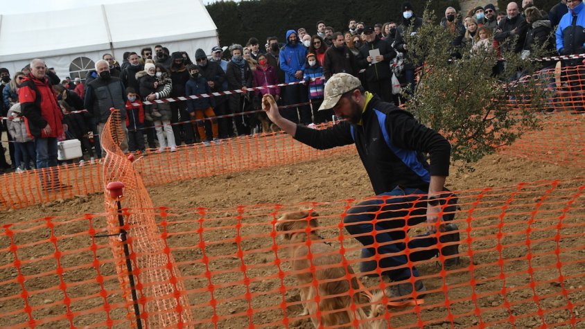 Dos xefs d'estrella Michelin a la Fira de la Tòfona que aterra a Vimbodí i Poblet