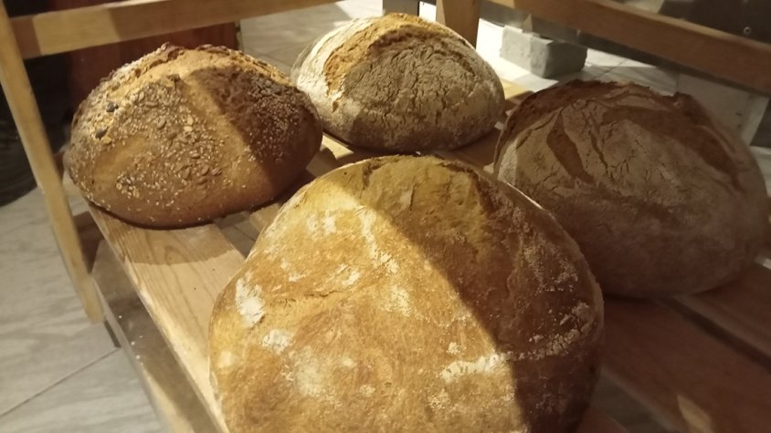 Els participants van descobrir tots els secrets per fer un pa artesà de varietats tradicionals de cereals amb llevat mare i el van coure al forn de llenya