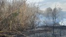 Bombers extingeixen un foc a tocar de la C-14 a Montblanc