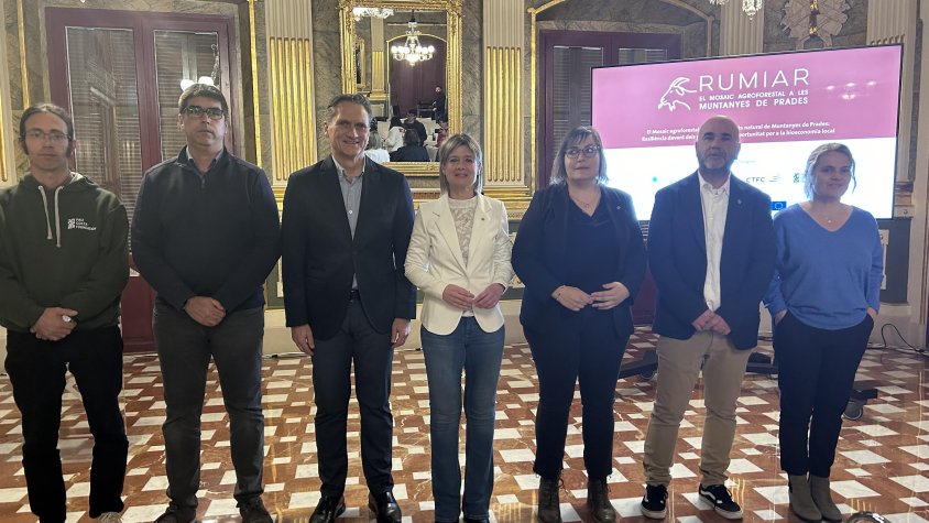 Un projecte millorarà zones forestals de les Muntanyes de Prades