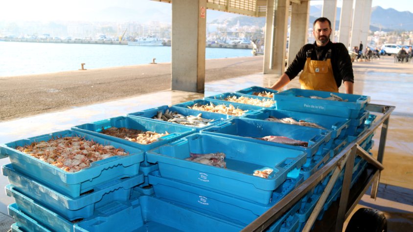L'IPC cau sis dècimes al febrer i se situa al 2,4% al Camp de Tarragona i les Terres de l'Ebre