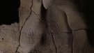 El Canal 33 emet aquest dijous un documental sobre el santuari paleolític de l’Espluga de Francolí descobert per l’IPHES-CERCA 